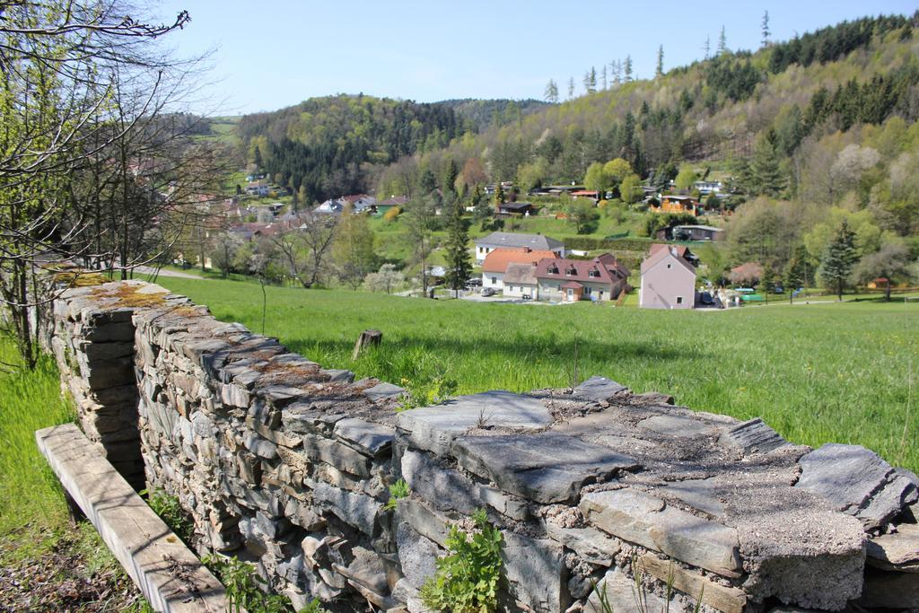 Ferienwohnung Zum Alten Forsthaus Messern Exterior foto